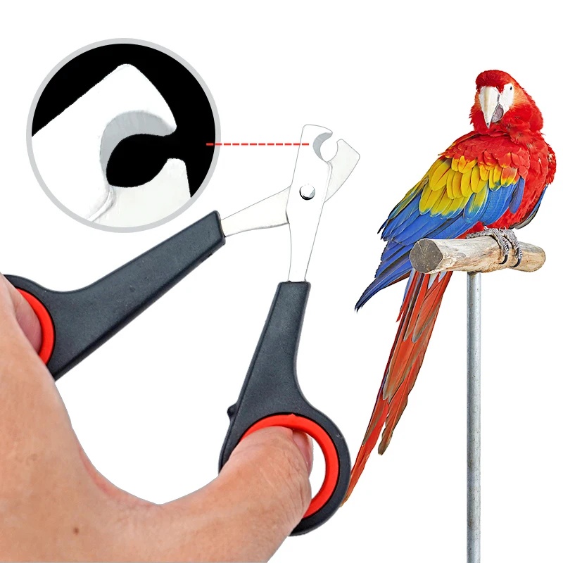 12cm Pet Parrot Nail Scissor D - Grooming Scissors recension och pris